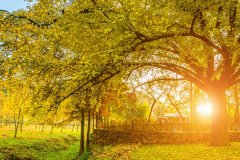 岳麓區(qū)做網(wǎng)站公司建站需要多長時(shí)間？
